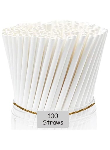 Nalamudhu Paper Straw Durable and Eco-Friendly White Drinking Disposable Paper Straw Pack of 100 (White, 6MM)