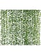 Yatim 78-Ft 12 Pack Silk Artificial Ivy Vines Leaf Garland Plants Hanging Wedding Garland Fake Foliage Flowers Home Kitchen Garden Office Wedding Wall Decor
