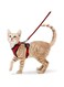 Adjustable Cat Harness Vest Custom Mesh Escape Proof Cat Harness and Leash Set for Walking (S, Red)