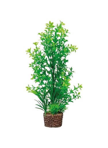 Hobby 51535 Flora Stone 6