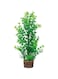 Hobby 51535 Flora Stone 6