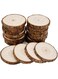 William Craft Unfinished Natural Wood Slices 20 Pcs 2.75-3.1 inch Wood Coaster Pieces Craft Wood kit Circles Crafts Christmas Ornaments DIY Crafts with Bark for Crafts Rustic Wedding Decorationbirch