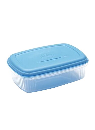 Rectangular Foodsaver Container Blue/Clear 22X15X8cm