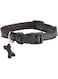 Bobby Safe Collar, Size 25, Black