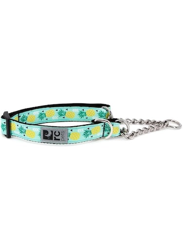 RC Pet Products Training Martingale Dog Collar, Small, Pineapple Parade