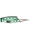 RC Pet Products Training Martingale Dog Collar, Small, Pineapple Parade