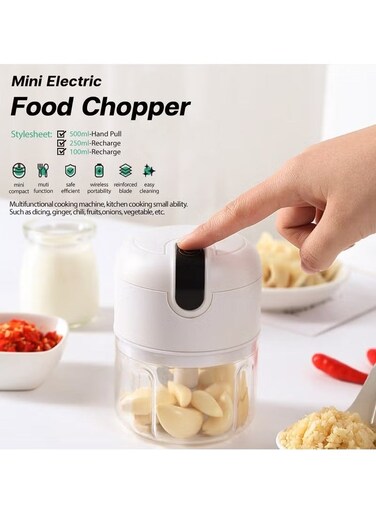 Electric Food Chopper Mini Chopper, Perfect for Garlic, Onion, Fruits, Vegetables, with 3 Stainless Steel Blades, 250ml