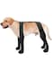 Azonee Dog Suspender Boots, Adjustable Velcro Waterproof Anti-Slip Dog Boots Large Dog Paw Protectors Suitable for Outdoor Walking in Rain and Snow