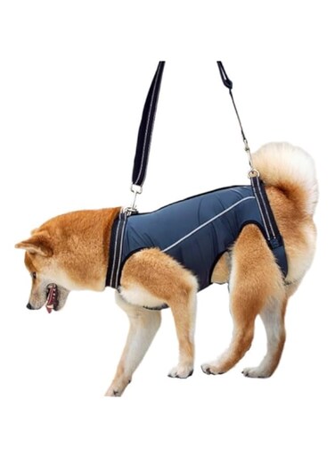 Dog Lift Harness Full Body Support for Small Medium Dogs, Outdoor Sling Bag for Spine Protection (Navy blue, XL)