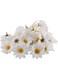 KASTWAVE Silk Daisy Flower Head 1.5Inch White Artificial Gerbera Fake Flowers Heads for Wedding Party,Home Decoration and DIY Craft 100 Pcs