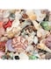 Weoxpr 200pcs Sea Shells Mixed Ocean Beach Seashells, Various Sizes Natural Seashells for Fish Tank, Home Decorations, Beach Theme Party, Candle Making, Wedding Decor, DIY Crafts, Fish Tan
