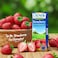 Lacnor Strawberry and Fruit Blend Juice No Added Sugar, 180ml