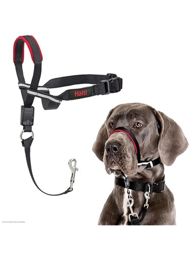 HALTI Optifit Headcollar Size Large, Bestelling Dog Head Harness to Stop Pulling on the Lead, Easy to Use, Adjustable &amp; Reflective Head Collar for Dogs, Professional Anti-Pull Training Aid- Black/Red