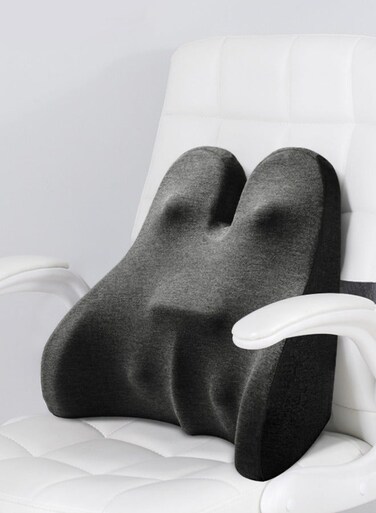 Lumbar Support Pillow for Office Chair Memory Foam Back Cushion with Breathable Mesh for Back Pain Relief Ergonomic Lumbar Pillow for Computer Office Chair, Car Seat