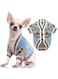 Small Dog Jumpers, Cute Bear Dog Cardigan Sweater, for Puppy Cat Knitting Cardigan Outfits, Dog Winter Coats Warm Pet Dog Clothes Soft Knitwear Apparel, for Indoor and Outdoor Activities(Blue, L)