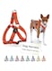 DOCO&reg; Puffy Air Step-In Harness (DCA201) Sizes - M, Color - Safety Orange