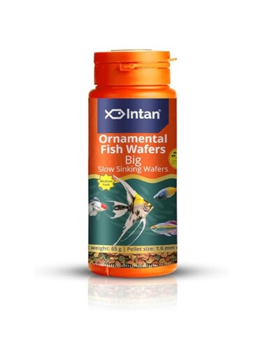 Growel Intan Ornamental Fish Wafers (Big 1.6mm Slow Sinking)   65gm - Highly Nutritious Ornamental Fish Food for Angels, Gouramis, Goldfish, Barbs &amp; Rainbows