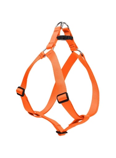 Lupine Step In Harness 19-28, Orange, 1 Inch
