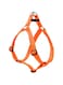 Lupine Step In Harness 19-28, Orange, 1 Inch