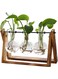 OOMYL Glass Desktop Planter with Retro Wooden Stand and Plant Terrarium Vase (3 Bulbs) for Indoor Office Desk Decor Accessories, without Plant