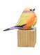 Tazweeq Bird Figurines Hand Carved Painted Wooden Statues for Home Decor, 3D Animal Figurine Hand-Made Home Office Decoration, Small Home Decor Bird Statue Shelf Decor BFF Gifts for Bird Lovers