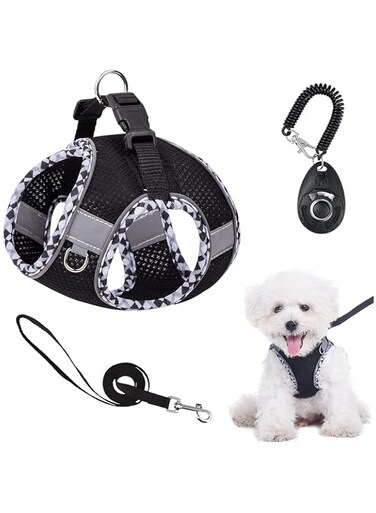 ALLNEWELOOK Mesh Vest Harness for Small Medium Dogs, Step in Harness Set for Small Breeds, With One Clickers, For Walking and Training, Easy to Use and Adjust (BLACK, S)