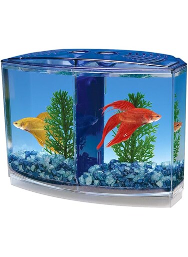 Penn-Plax Twin Betta Bow-Front Kit for Aquarium Blue, Green, Tank is 7.5" Across The Front, 6" Across The Back