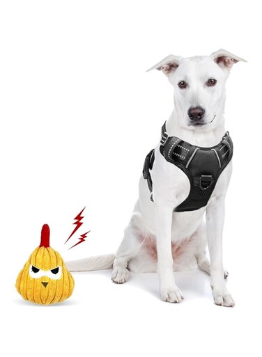 FOCLTD No-Pull Dog Harness with 2 Leash Clips,Adjustable Soft Padded Dog Vest,Reflective Easy Control Dog Vest Harness for Large Dog Training Walking,Black (L)