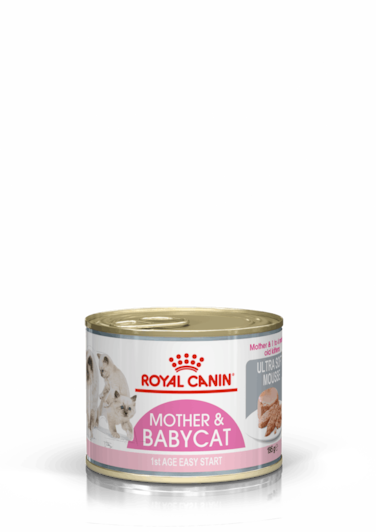 Royal Canin Feline Health Nutrition Mother &amp; Babycat Mousse (WET FOOD - Cans) 195g
