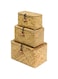 FEILANDUO Shelf Baskets with Lid Set of 3 Handwoven Seagrass Storage Box Wicker Basket Desktop Makeup Organizer Multipurpose Container (Original (S/M/L)