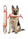 Dog Tug Toy Dog Tough Jute Bite Pillow Lasting Training Equipment Two Flag Handles Puppy to Large Dogs Interactive Toy war Toys for Aggressive chewers