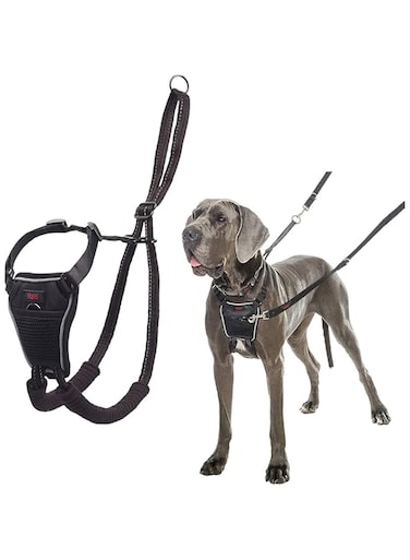 Company of Animals The Halti No-Pull Harness, Large