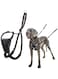 Company of Animals The Halti No-Pull Harness, Large