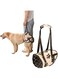 NALACAL Adjustable Dog Lift Harness, Dog Lifting Harness for Rear Legs, Support and Rehab Harness for Weak Rear Legs, Pulling Vest Sling for Old, Disabled, Arthritis Dogs, Nylon-wrapped Sponge
