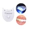 Light Up Your Smile 20 Minute Dental White (Teeth Whitening)