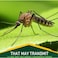 Pack of 3 Jungle Formula - Superior Mosquito Repellent for Maximum Safety in Any Environment