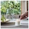 Scented Candle In Glass Scandinavian Woods/White 20Hr