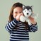 Soft Toy Dog/Siberian Husky 26cm