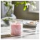 Scented Candle In Glass Jasmine/Pink 40 Hr
