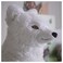 Soft Toy Arctic Fox/White 60cm