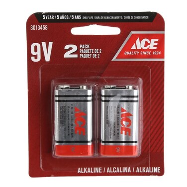 ACE Alkaline Battery Pack (9 V, 2 Pc.)