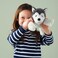 Soft Toy Dog/Siberian Husky 26cm