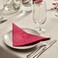 Paper Napkin Match Your Dinnerware Or Set The Table With A Creative Mix 40X40cm