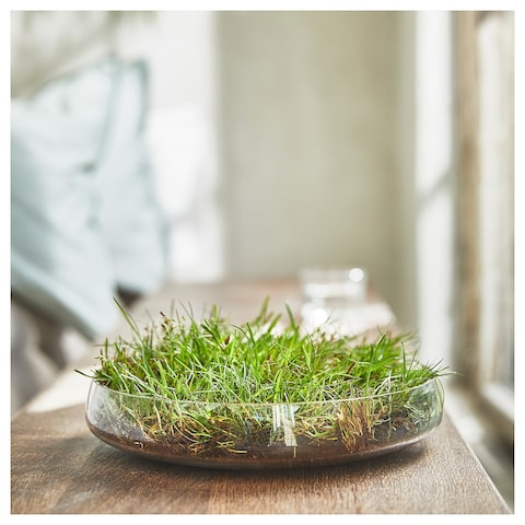 Scented Candle In Glass Fresh Grass/Light Green 50 Hr