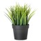 Artificial Potted Plant In/Outdoor Grass 9cm