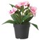 Artificial Potted Plant In/Outdoor/Balsam  Pink 9cm