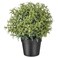 Artificial Potted Plant Rosemary 9cm