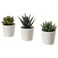Artificial Potted Plant With Pot In/Outdoor Succulent 6cm 3 Pack