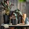 Plant Pot Galvanised To Protect Against Corrosion In/Outdoor/Anthracite 19cm