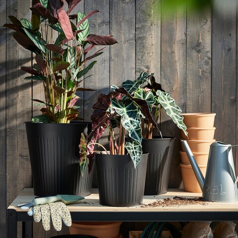 Plant Pot Galvanised To Protect Against Corrosion In/Outdoor/Anthracite 19cm